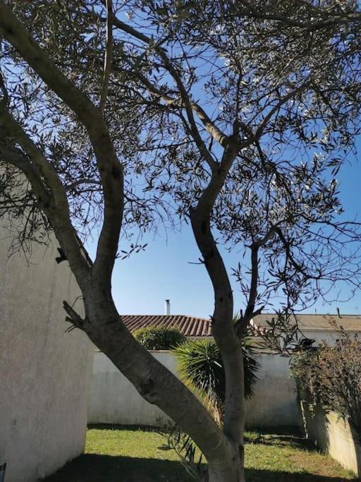 Belle villa de 90m2 au calme avec jardin et parking à 10 mn de la mer en voiture Fos-sur-Mer Extérieur photo
